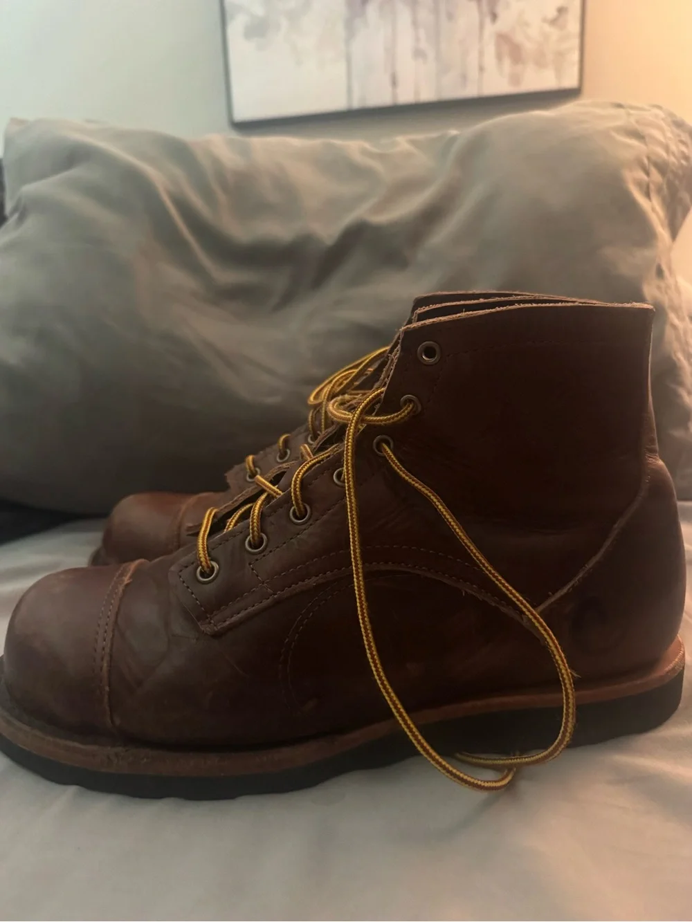 N/A classic brown